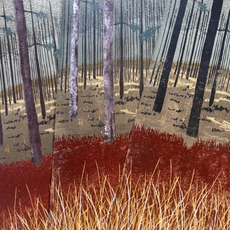 Jo Boddy Printmaker