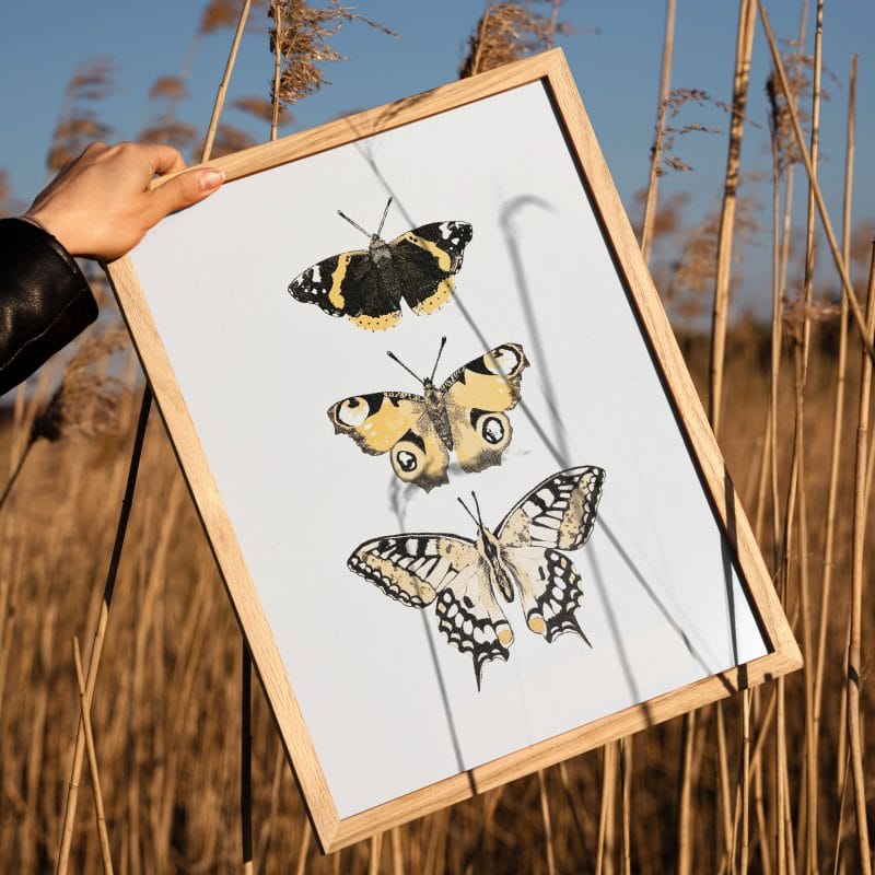 AFB illustrator and printmaker