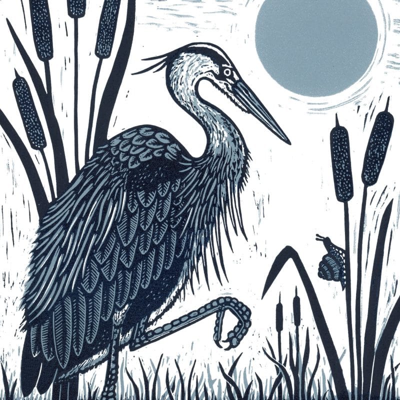 Sarah Delahoy Printmaker