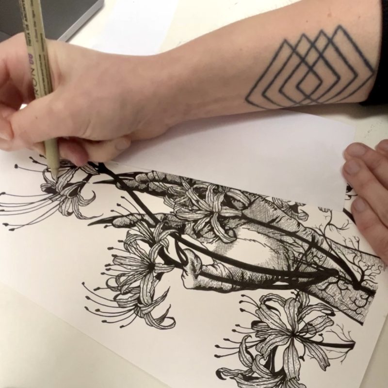 Loose Lines