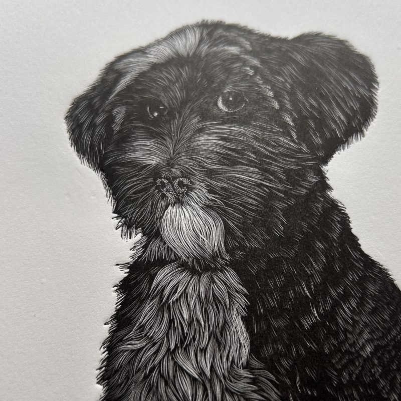Masha Tiplady Printmaker