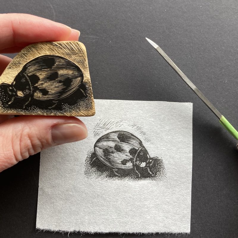 Masha Tiplady Printmaker