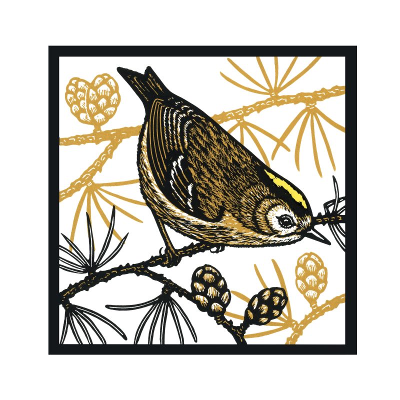 Sarah Delahoy Printmaker