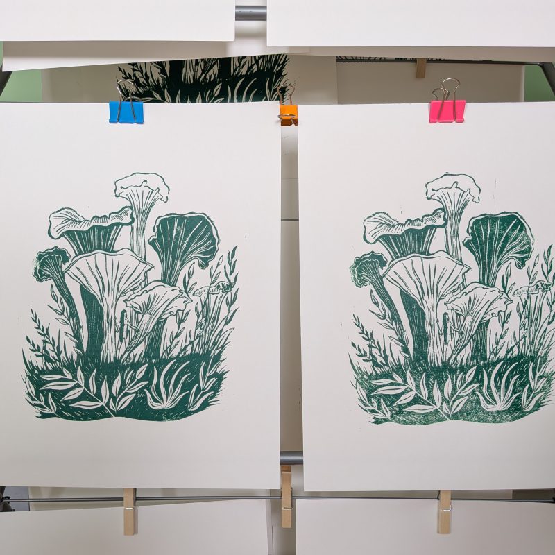 Kasia Kozakiewicz Illustrations